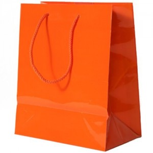 Orange Gift Bag