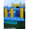 Super Jumbo Slide Bounce Castle
