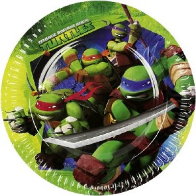 Ninja Turtle Dinner Plates
