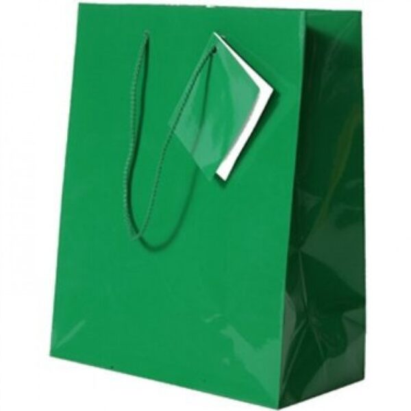 Green Gift Bag