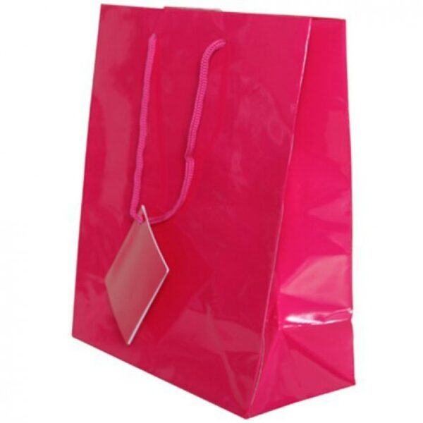 Magenta Gift Bag
