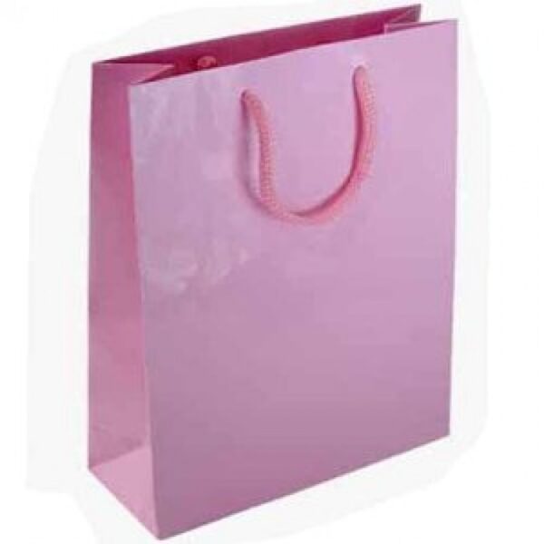 Pink Gift Bag
